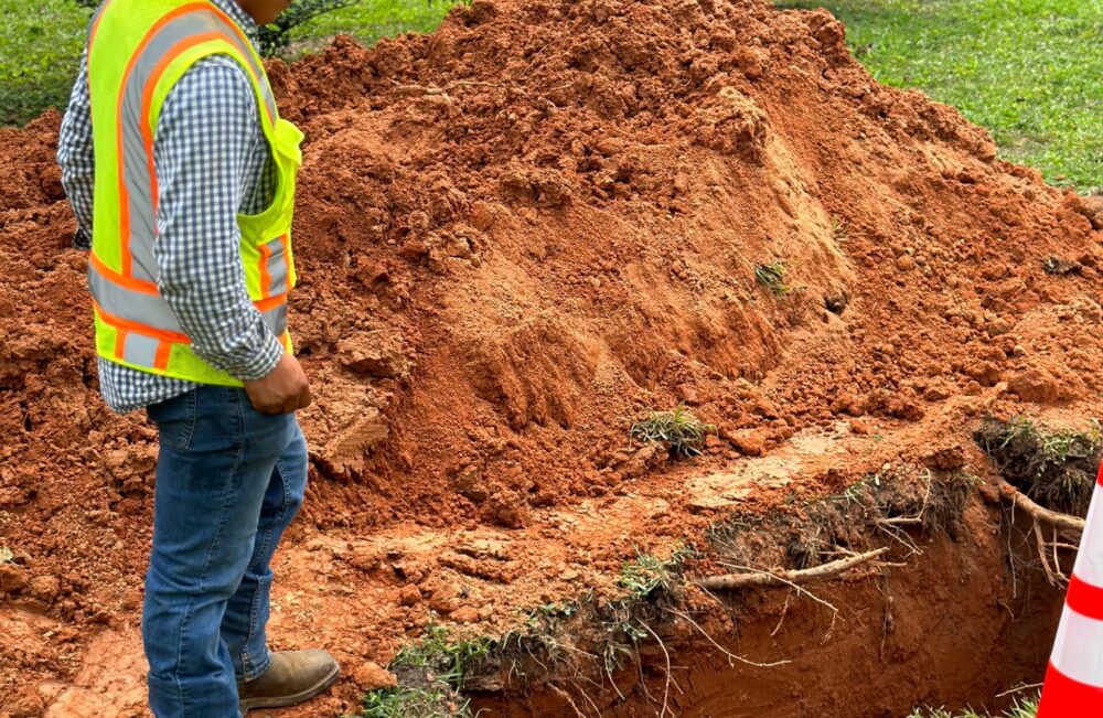 WhatsApp Image 2025-01-07 at 16.58.06_b5a44871